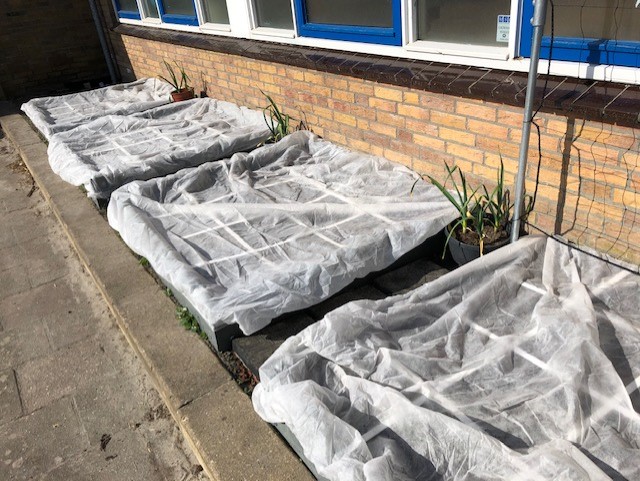 Moestuin en snippers